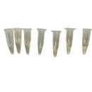 Atrativo para abelhas chama enxame