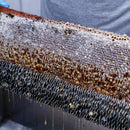 Desoperculador de Mel Portátil Marapis