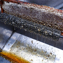 Desoperculador de Mel Portátil Marapis