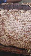 Desoperculador de Mel Portátil Marapis